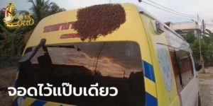 เลขเด็ดรายวัน