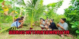 เลขเด็ดหวยดัง