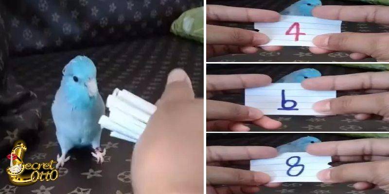 เลขเด็ดรายวัน