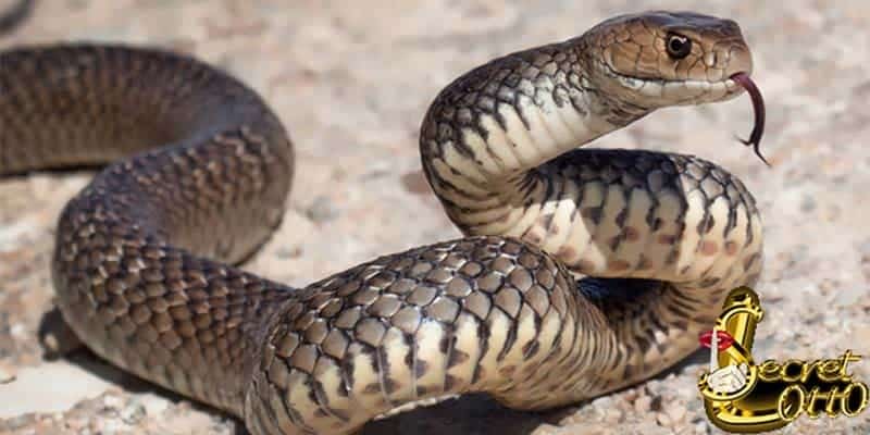 ทำนายฝัน