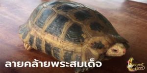 เลขเด็ดรายวัน