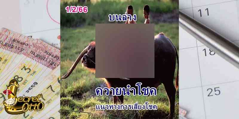 เลขเด็ดรายวัน